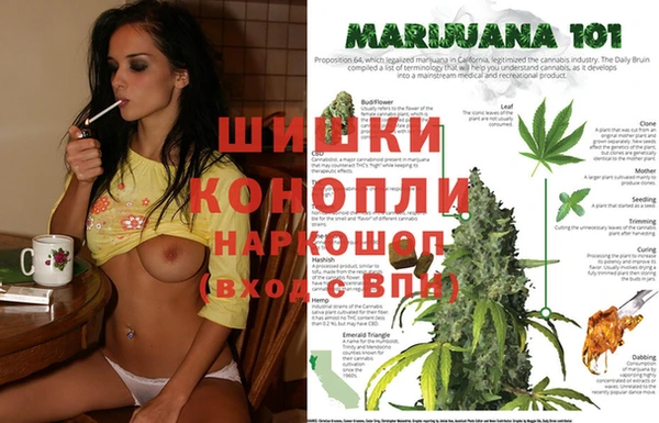 хмурый Балабаново