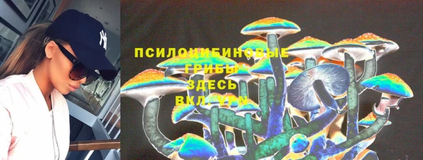 хмурый Балабаново