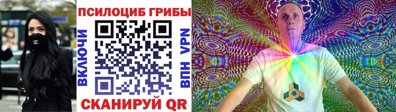 где можно купить Шагонар Псилоцибиновые грибы GOLDEN TEACHER